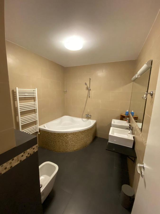 Gaga Residence 3 Тимишоара Екстериор снимка